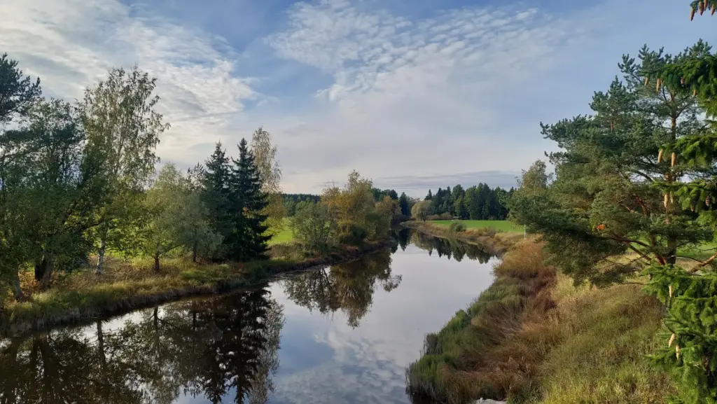 Mustijoki tyynenä päivänä