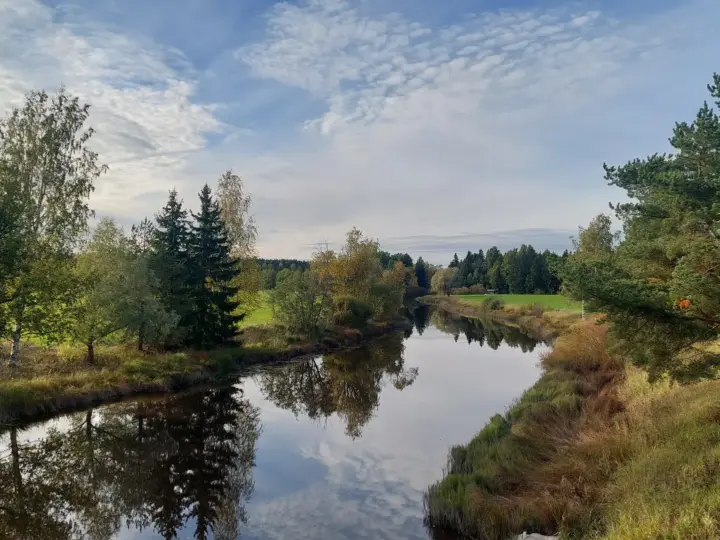 Mustijoki tyynenä päivänä